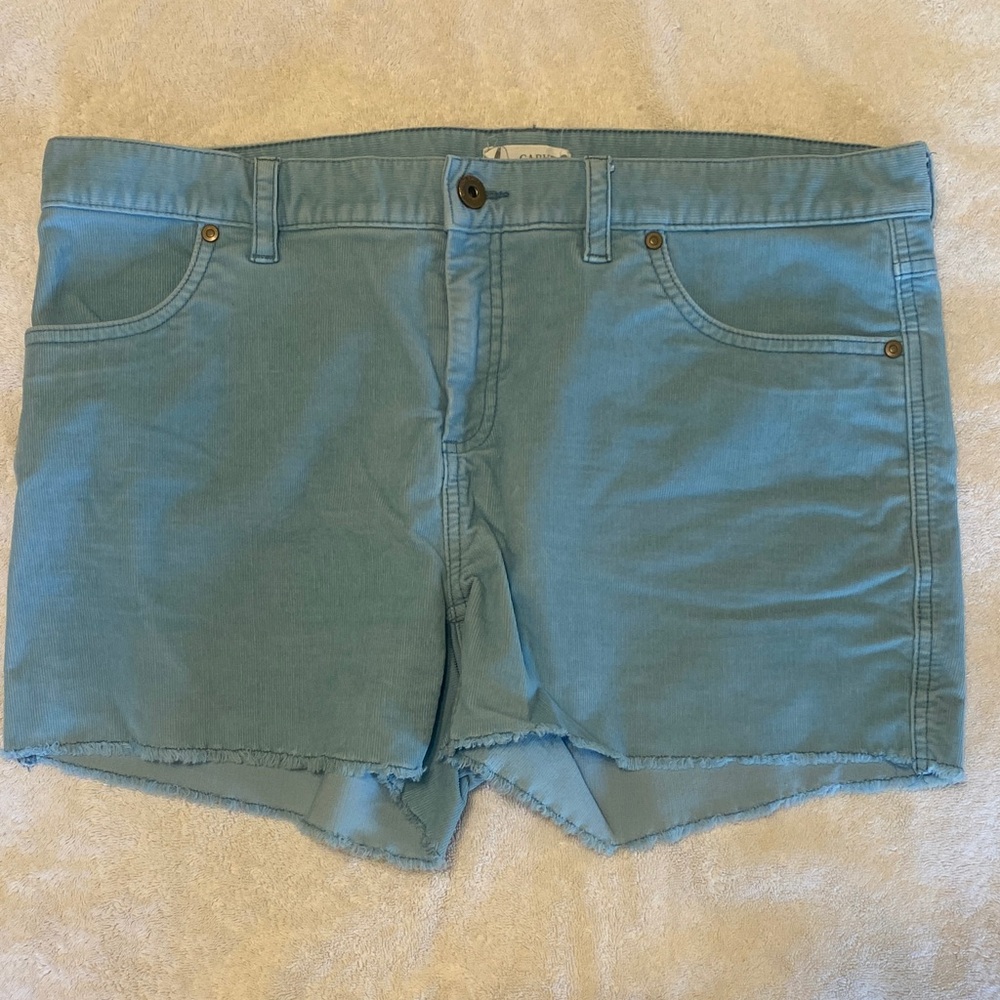 Carve Designs Oahu Shorts